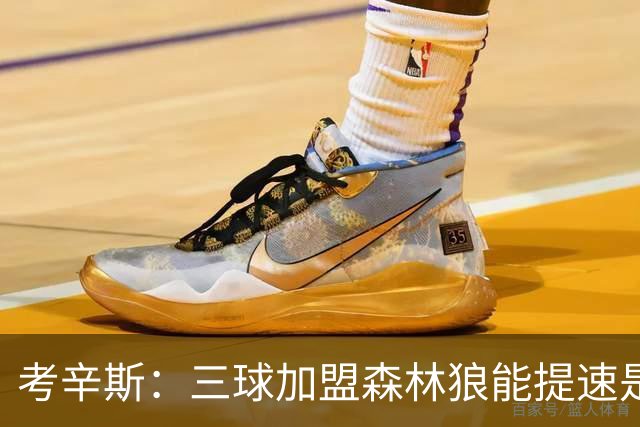 考辛斯：三球加盟森林狼能提速是加分项 他和爱德华兹非常契合