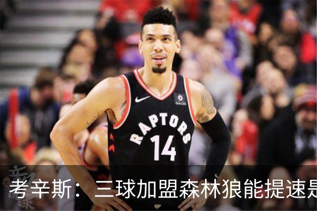 考辛斯：三球加盟森林狼能提速是加分项 他和爱德华兹非常契合